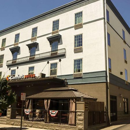 Comfort Suites Downtown קרלייל מראה חיצוני תמונה