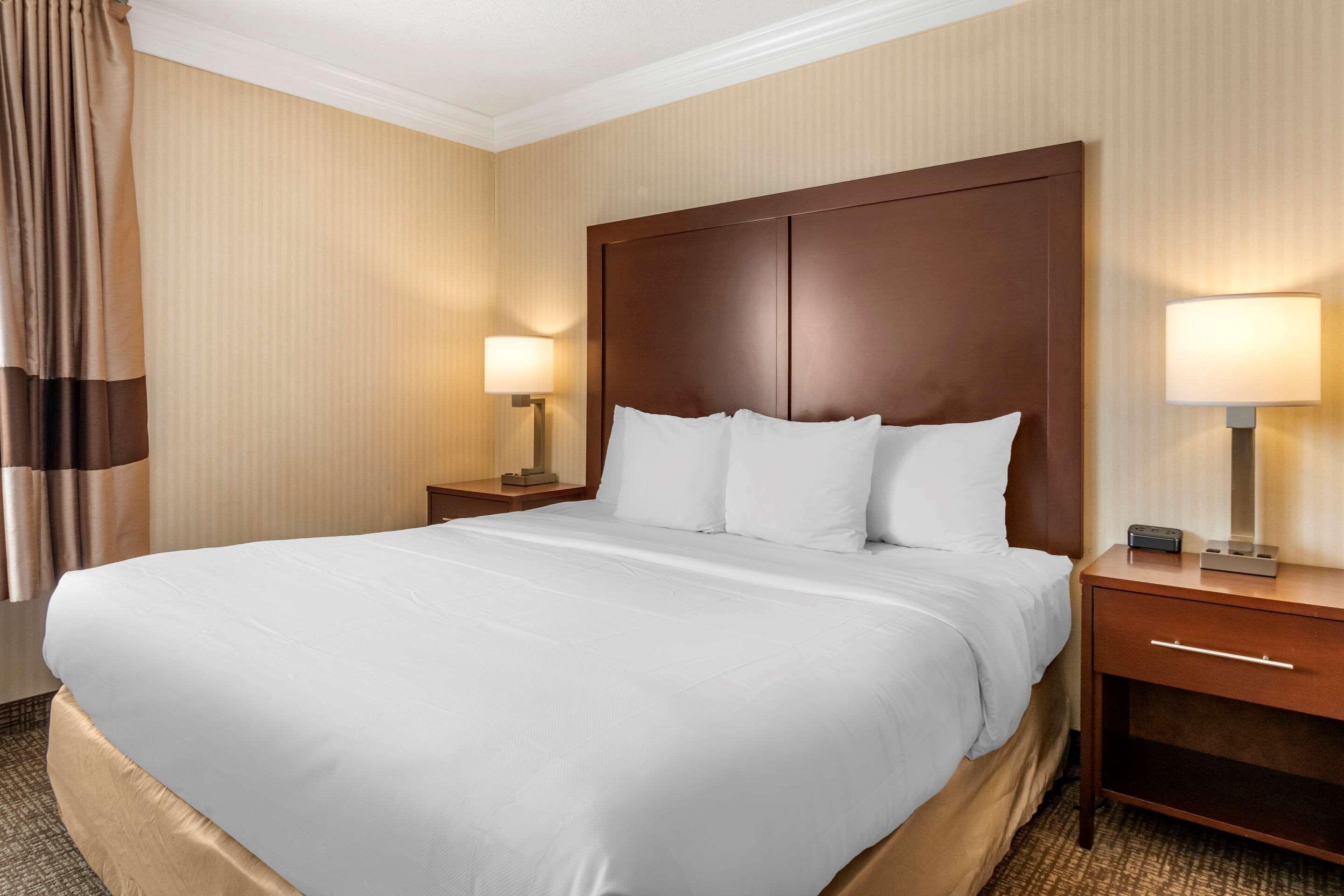Comfort Suites Downtown קרלייל מראה חיצוני תמונה