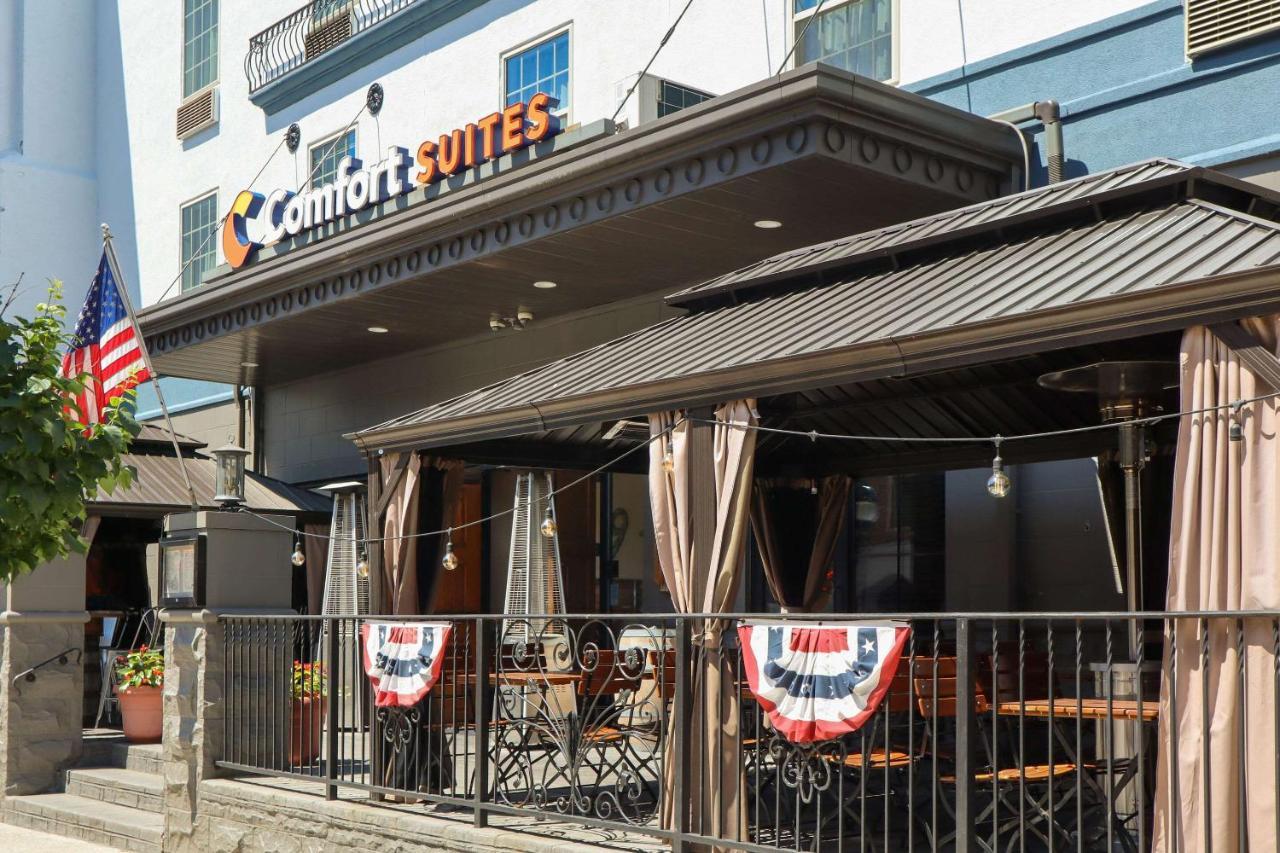 Comfort Suites Downtown קרלייל מראה חיצוני תמונה
